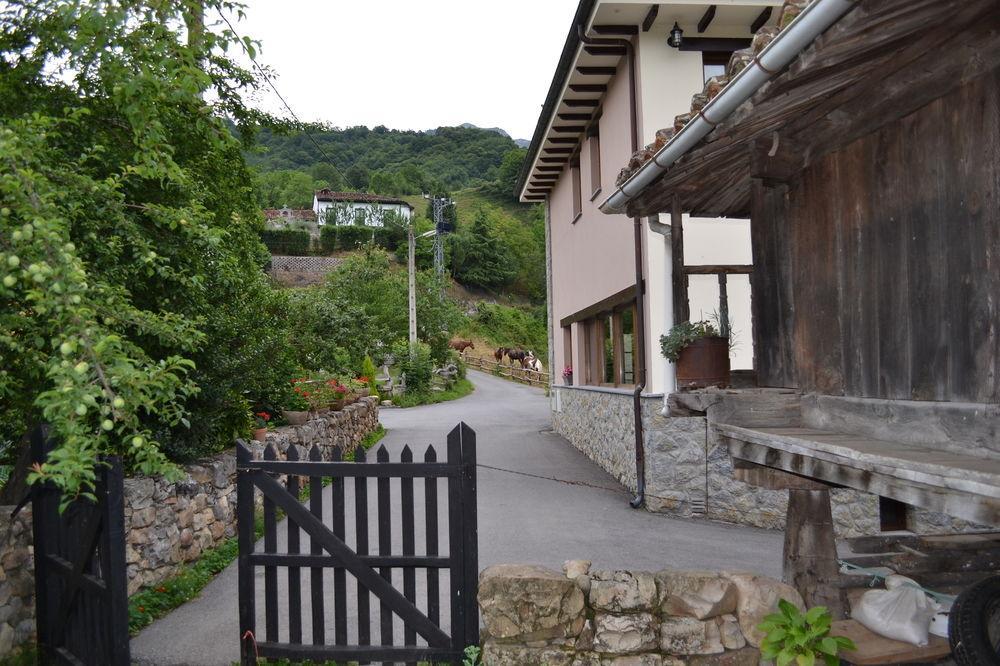 Alesga Hotel Rural - Valles Del Oso -Asturias San Salvador  Exterior photo