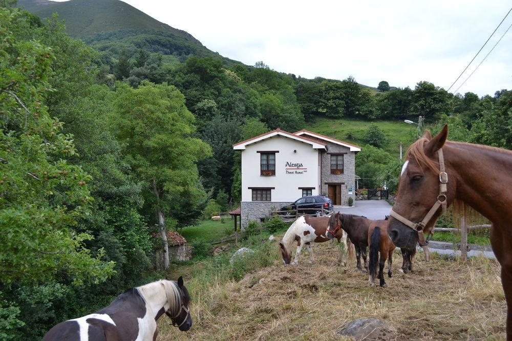 Alesga Hotel Rural - Valles Del Oso -Asturias San Salvador  Exterior photo