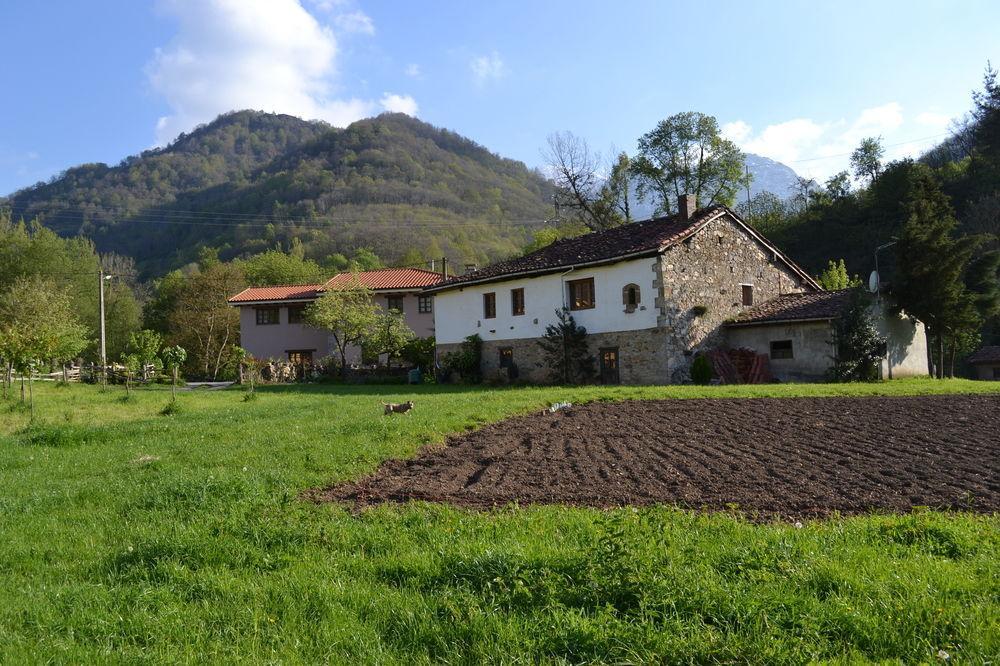 Alesga Hotel Rural - Valles Del Oso -Asturias San Salvador  Exterior photo