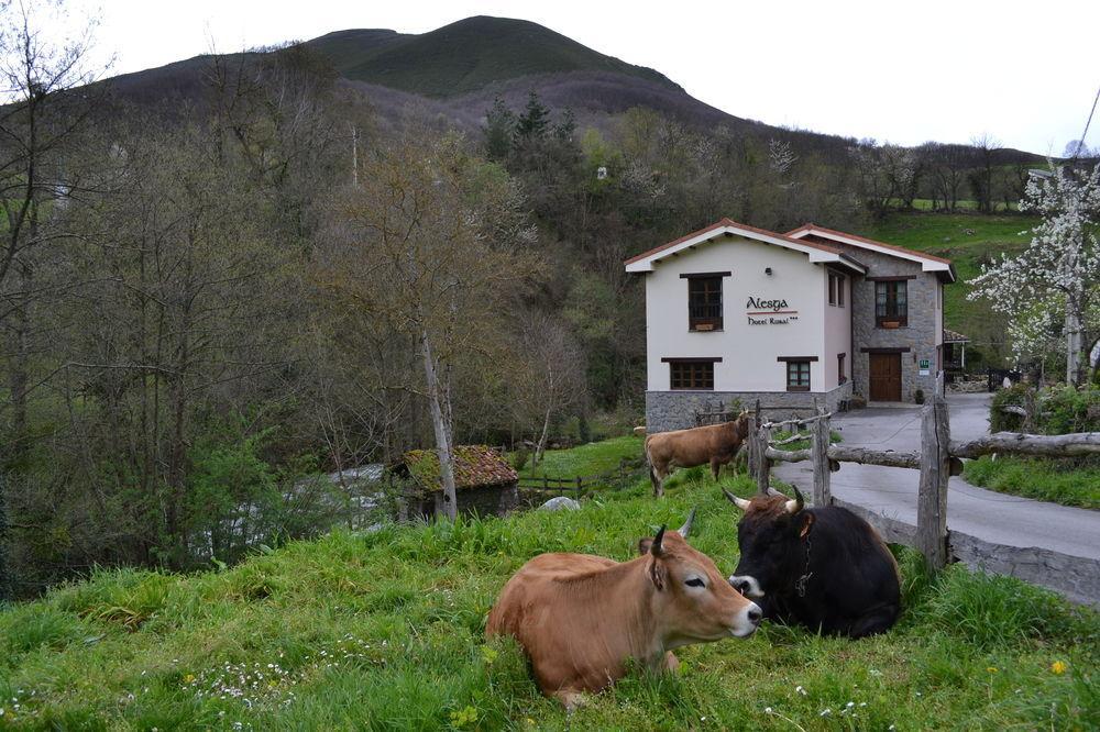Alesga Hotel Rural - Valles Del Oso -Asturias San Salvador  Exterior photo