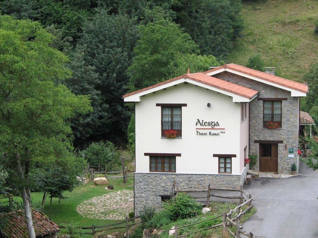Alesga Hotel Rural - Valles Del Oso -Asturias San Salvador  Exterior photo