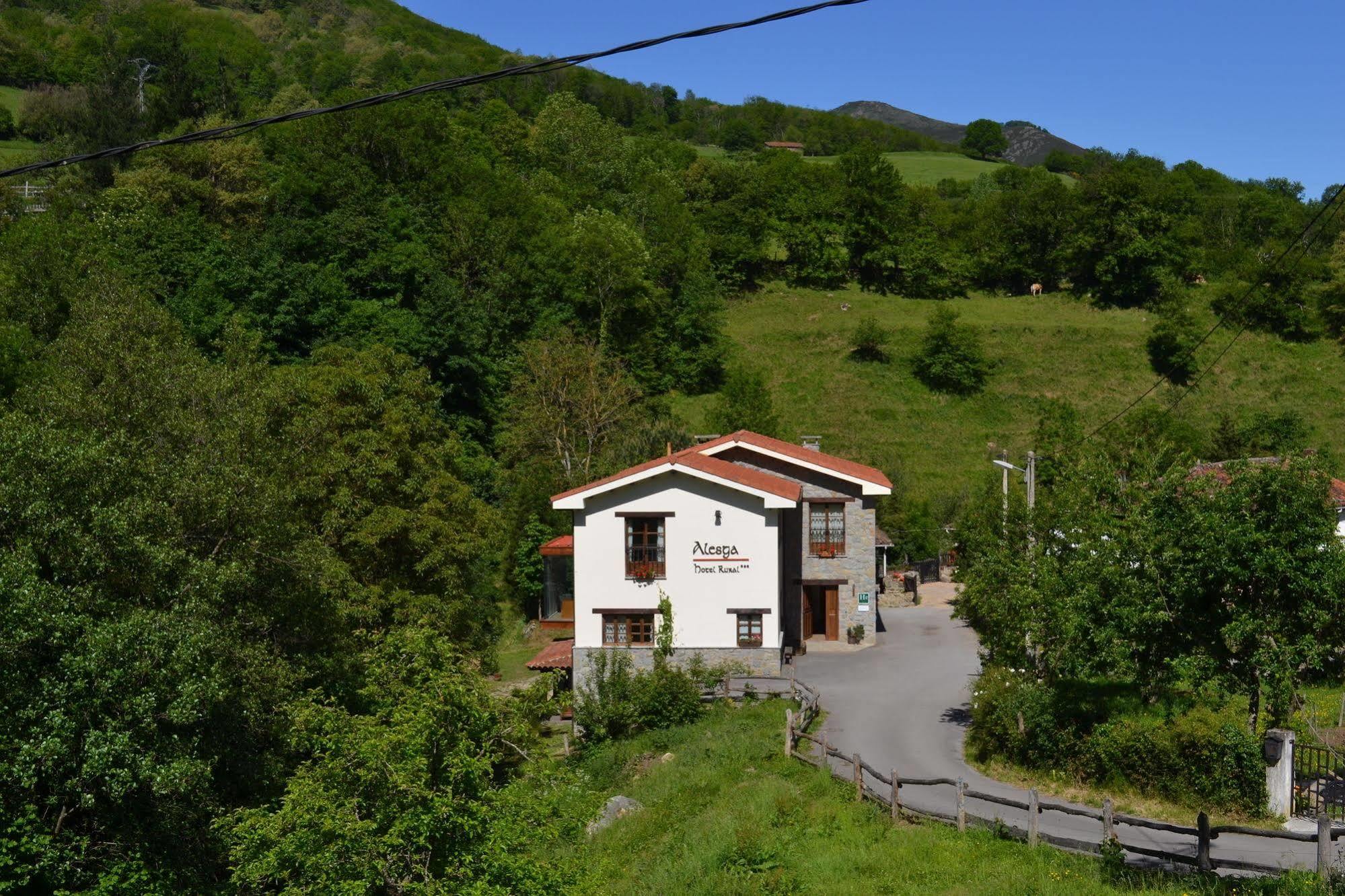 Alesga Hotel Rural - Valles Del Oso -Asturias San Salvador  Exterior photo