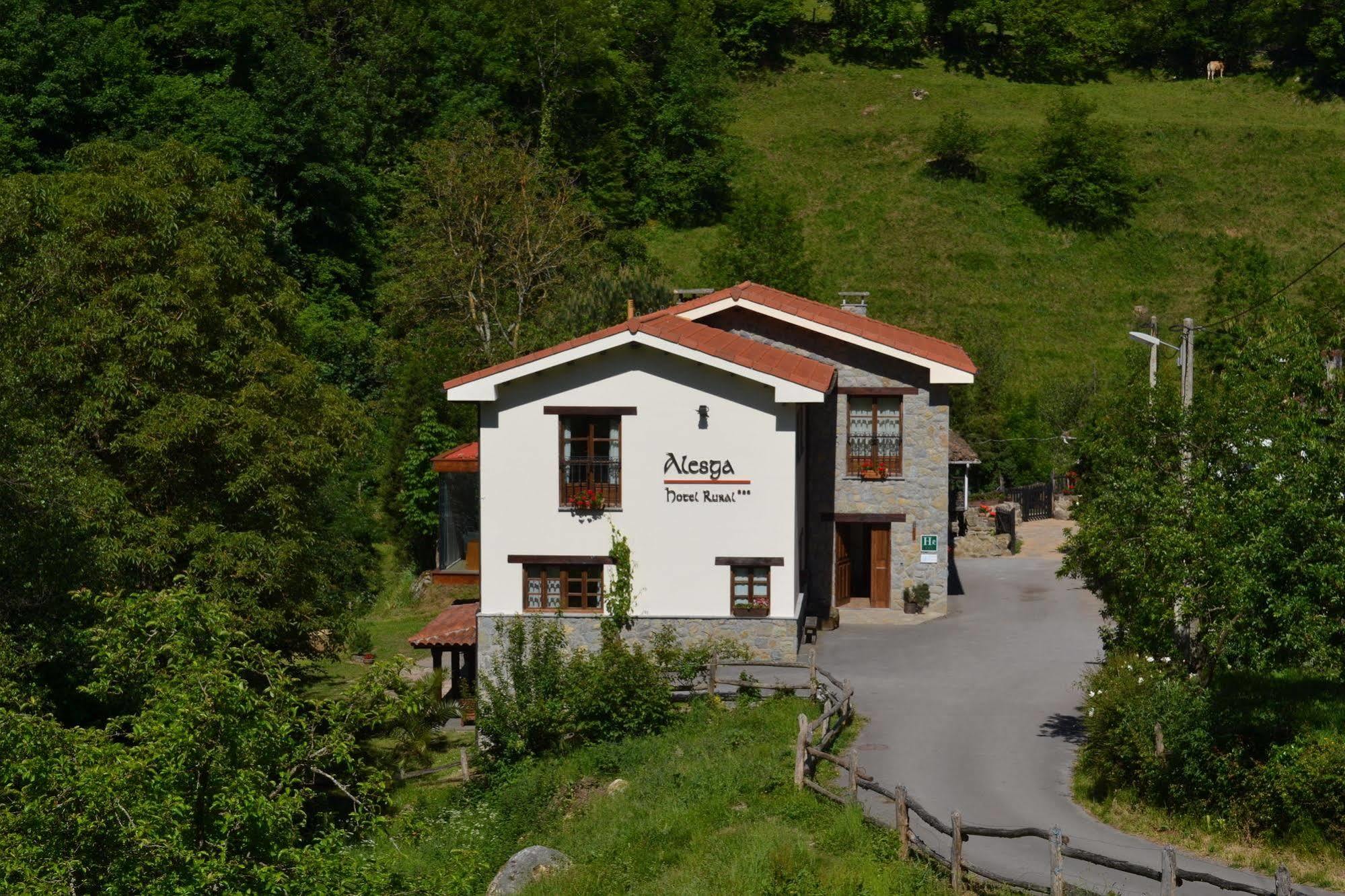 Alesga Hotel Rural - Valles Del Oso -Asturias San Salvador  Exterior photo