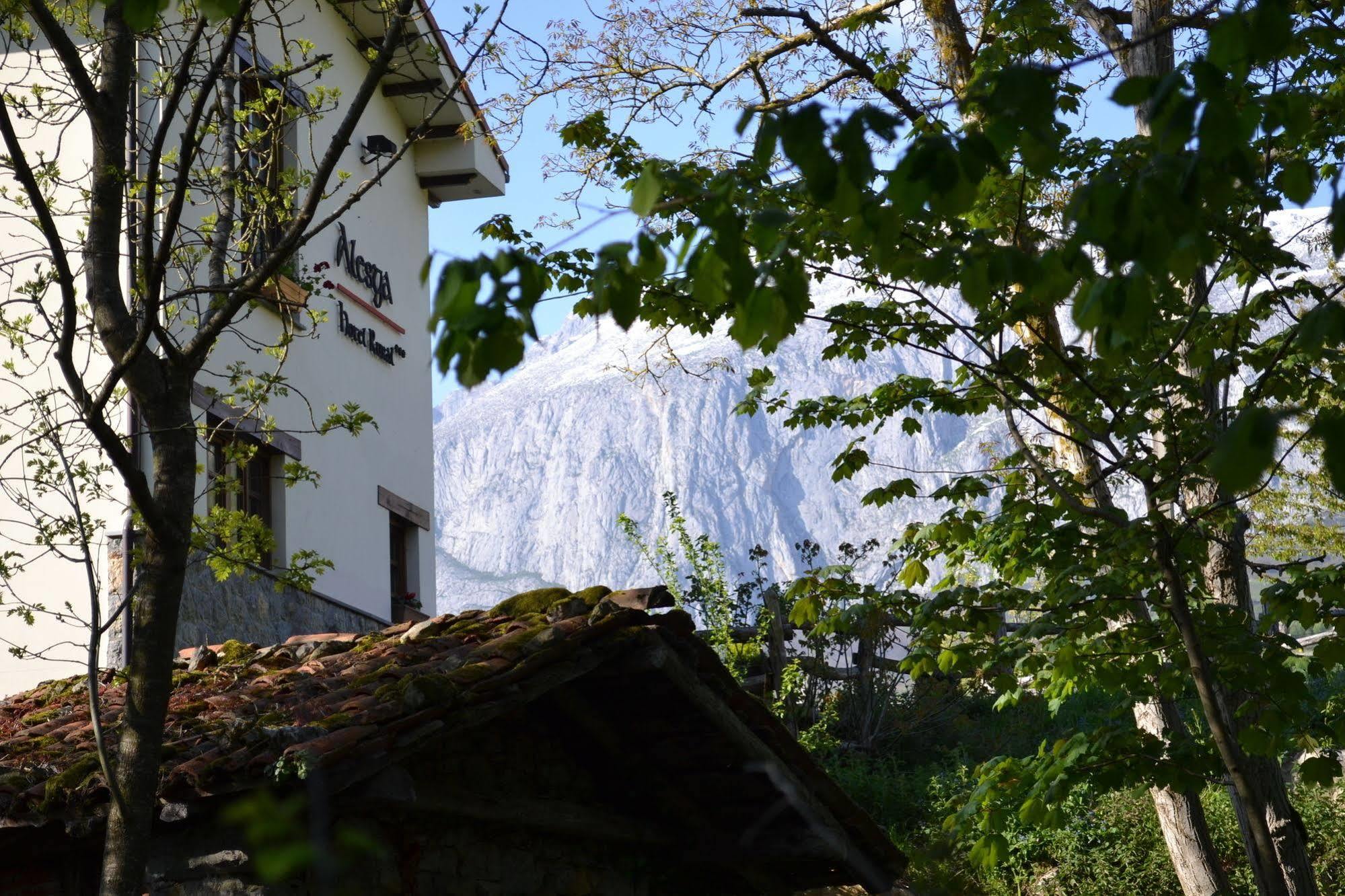 Alesga Hotel Rural - Valles Del Oso -Asturias San Salvador  Exterior photo